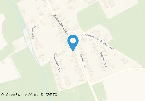 Térkép