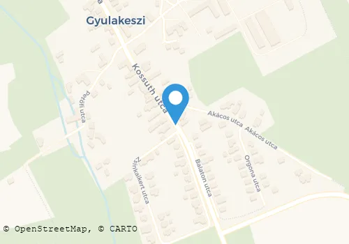 Térkép