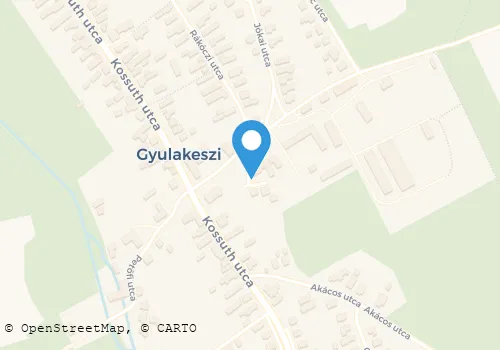 Térkép