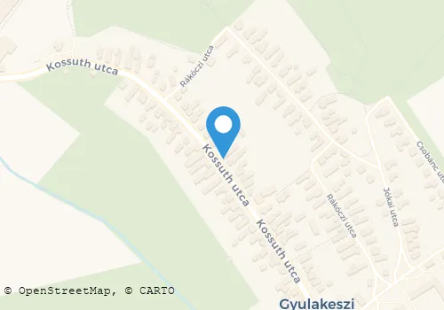 Térkép