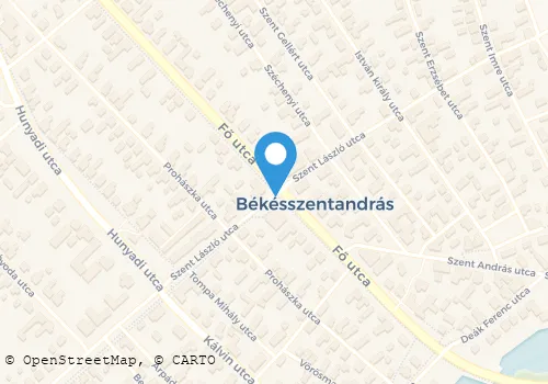 Térkép
