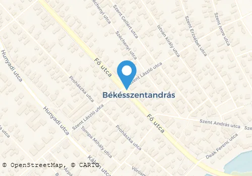 Térkép