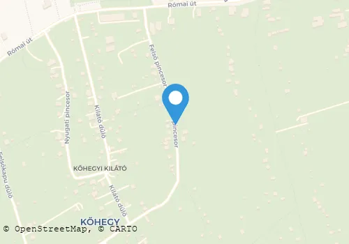 Térkép