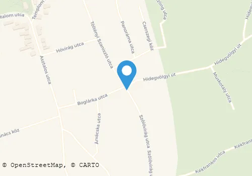 Térkép