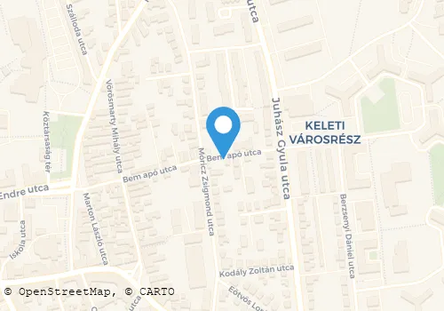 Térkép