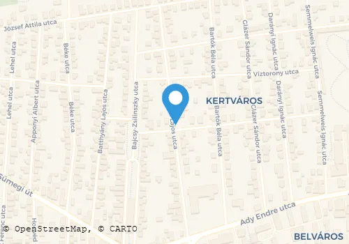 Térkép
