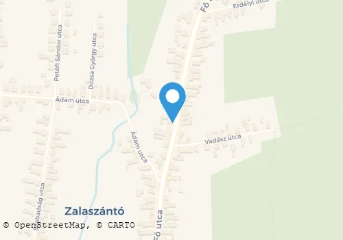 Térkép