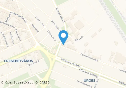 Térkép