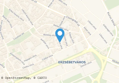 Térkép