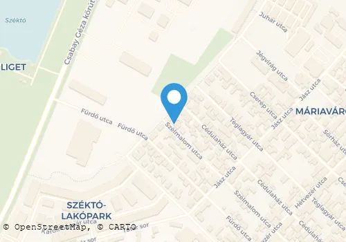 Térkép
