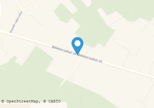 Térkép