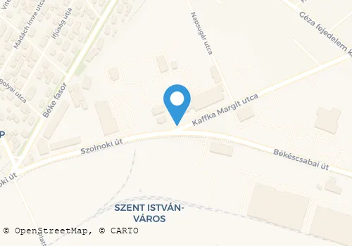 Térkép