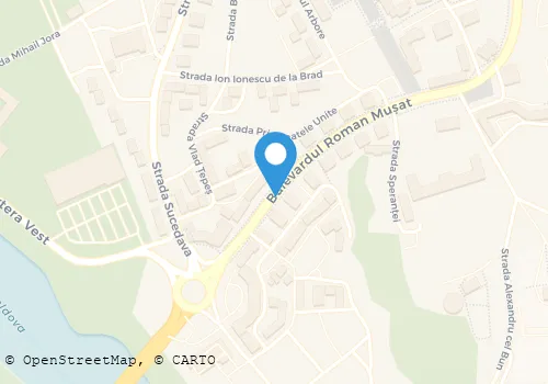 Hartă