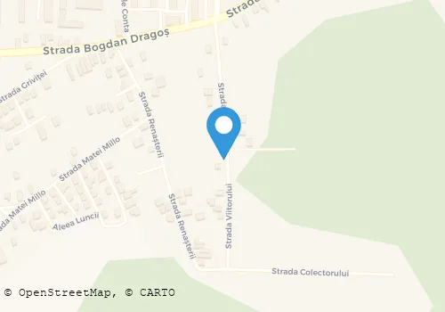 Hartă