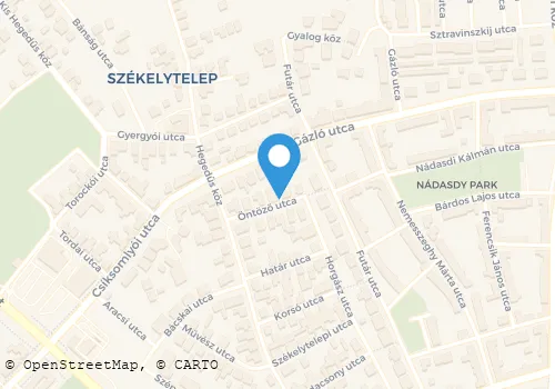 Térkép
