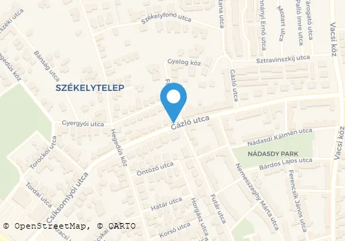 Térkép