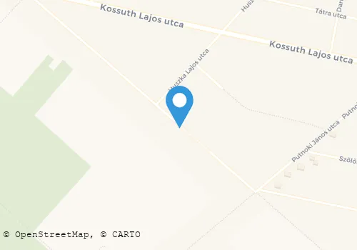 Térkép