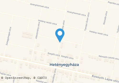 Térkép