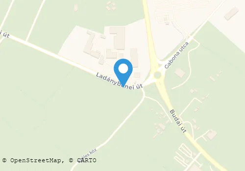 Térkép