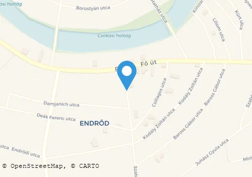 Térkép