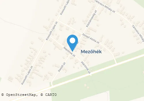 Térkép