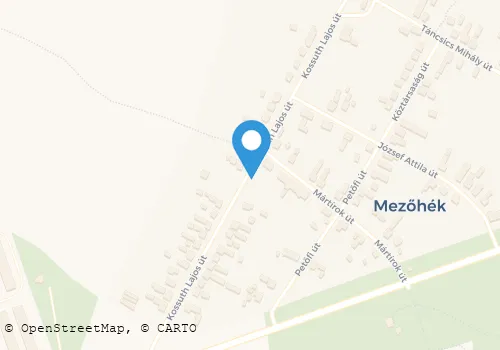 Térkép