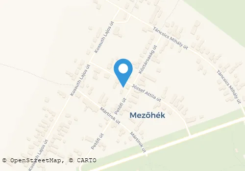 Térkép