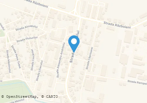 Hartă