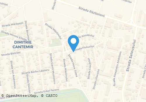 Hartă