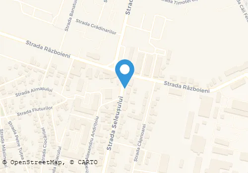 Hartă