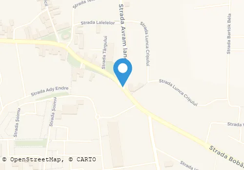 Hartă