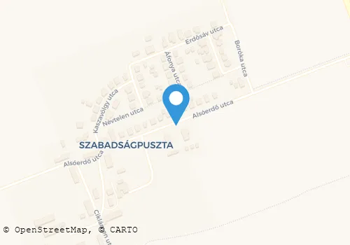 Térkép
