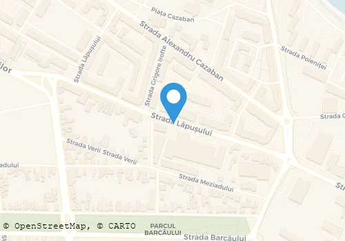 Hartă