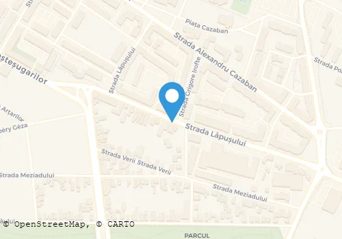 Hartă
