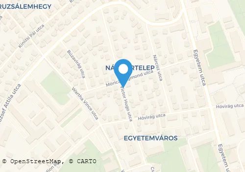 Térkép