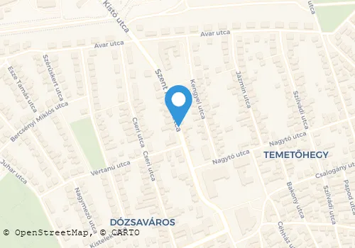 Térkép