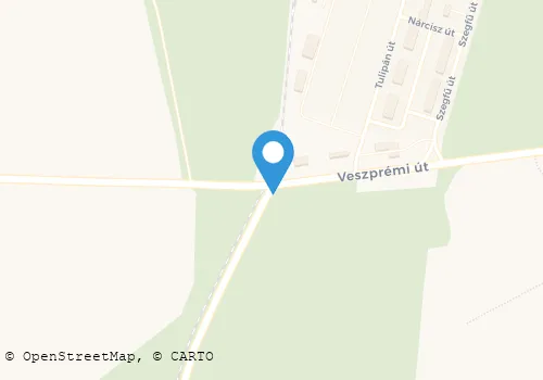 Térkép