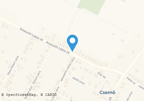 Térkép