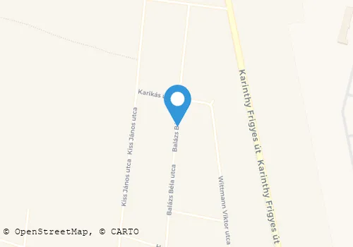 Térkép