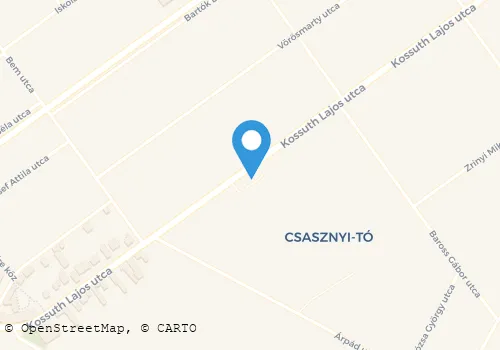 Térkép