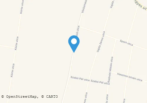 Térkép