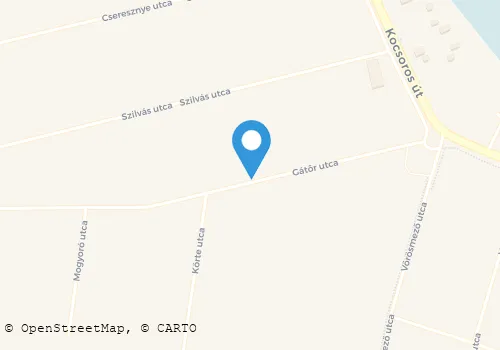 Térkép