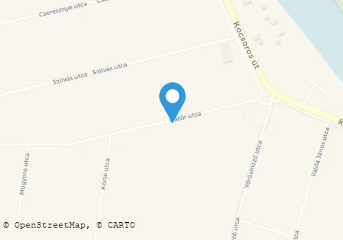 Térkép