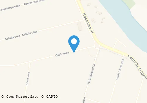 Térkép