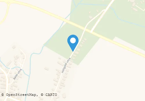 Térkép