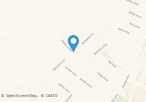 Térkép