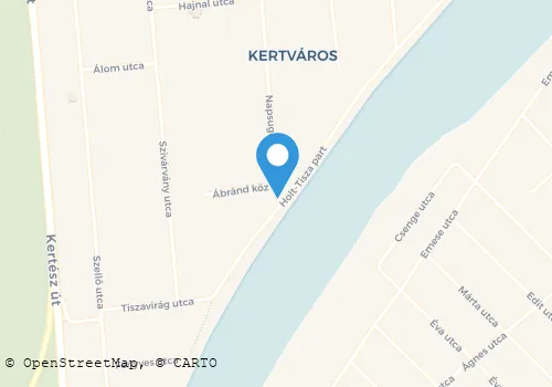 Térkép