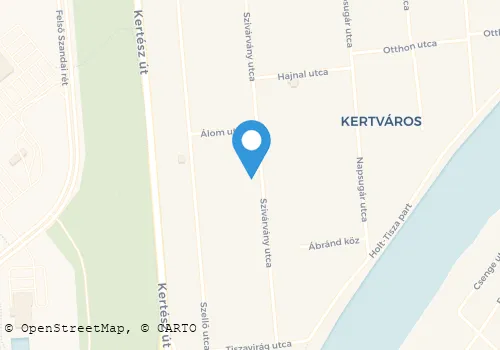 Térkép