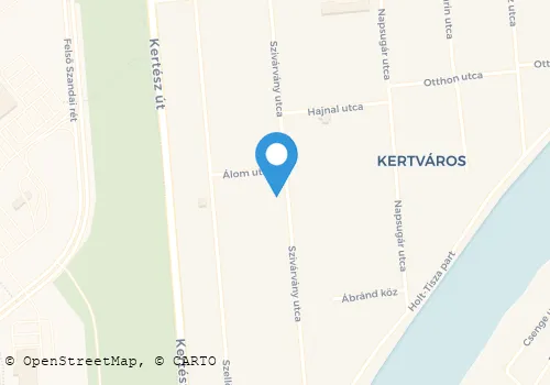 Térkép