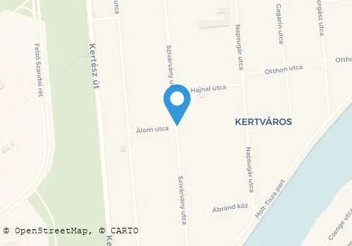 Térkép